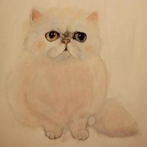 Meet your Posher, Li